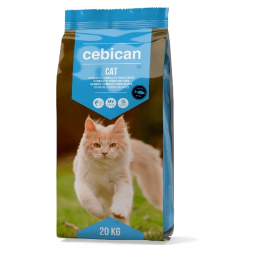 Cebican Cat