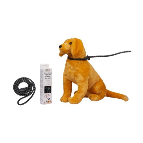 RKR Shock Absorbing Training Dog Leash (Reflective)