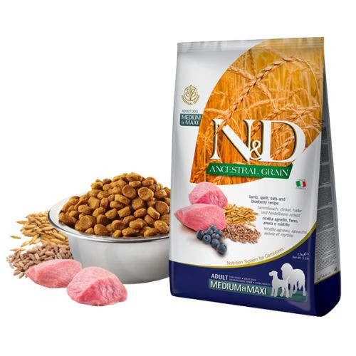 N&D LAMB & BLUEBERRY ADULT MEDIUM / MAXI