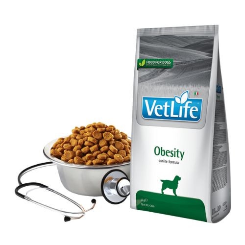 VETLIFE DOG OBESITY