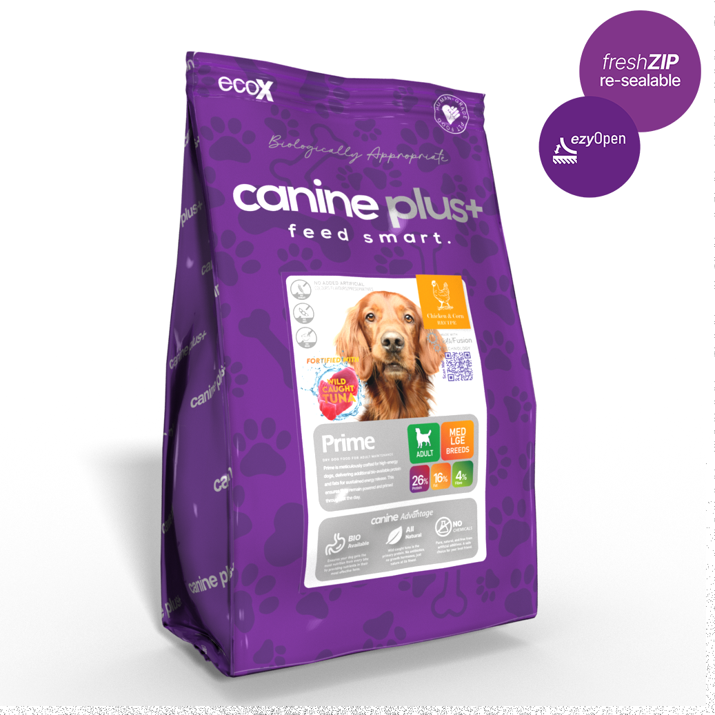 Canine Plus+ Prime